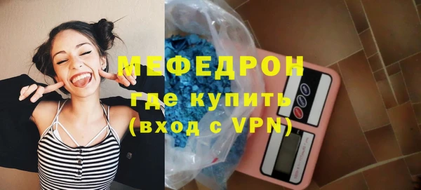 индика Новозыбков