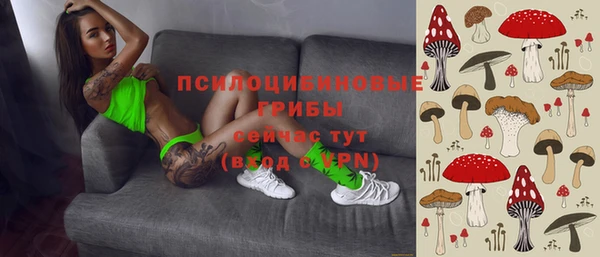 ECSTASY Воткинск