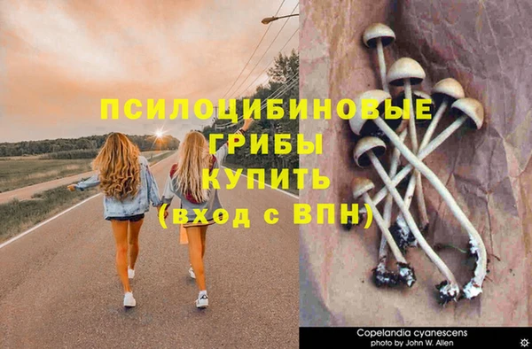 амф Всеволожск