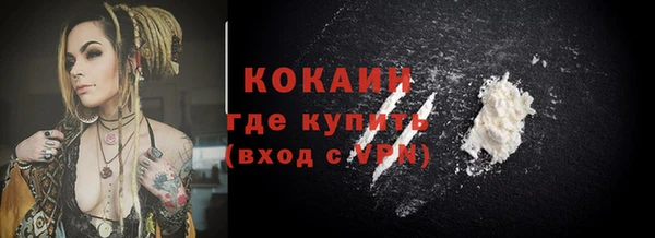 шишки Новокубанск