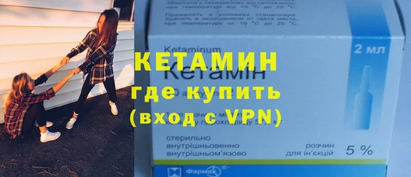 шишки Новодвинск
