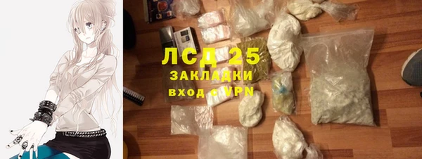 индика Новозыбков