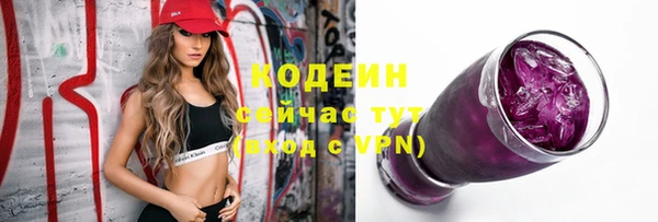 шишки Новодвинск