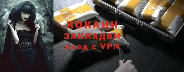шишки Новокубанск