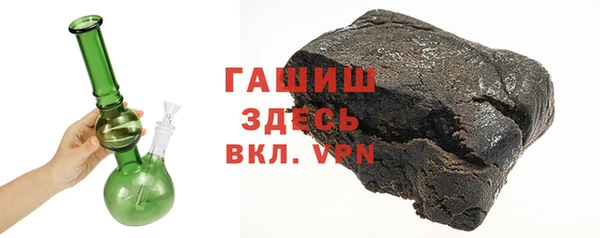 индика Новозыбков