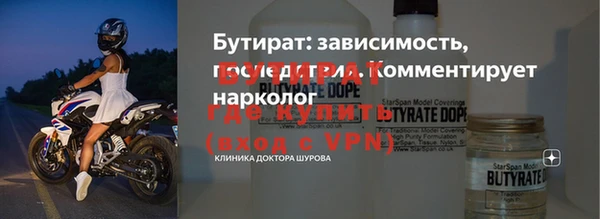шишки Новодвинск