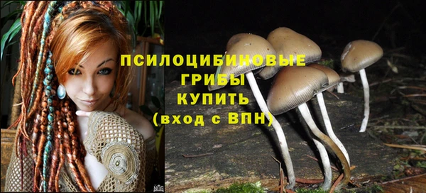 ECSTASY Воткинск