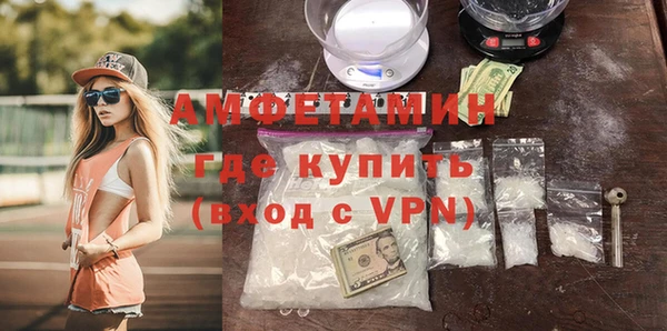 шишки Новодвинск