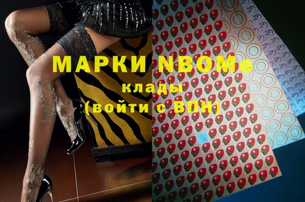индика Новозыбков