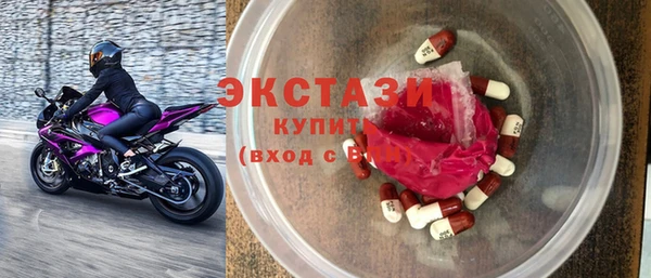 индика Новозыбков