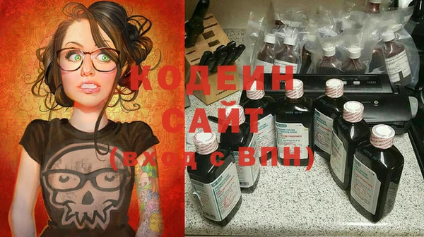 индика Новозыбков