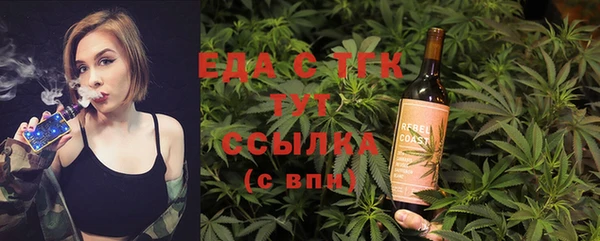 шишки Новодвинск