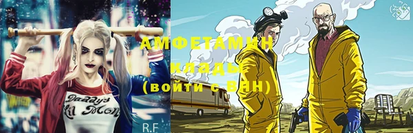 индика Новозыбков