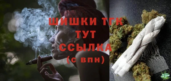 шишки Новокубанск