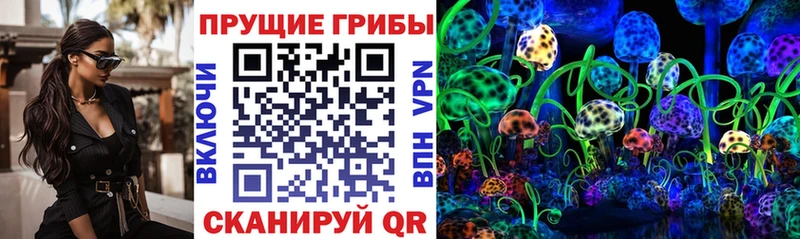 наркота  Корсаков  Галлюциногенные грибы Magic Shrooms 
