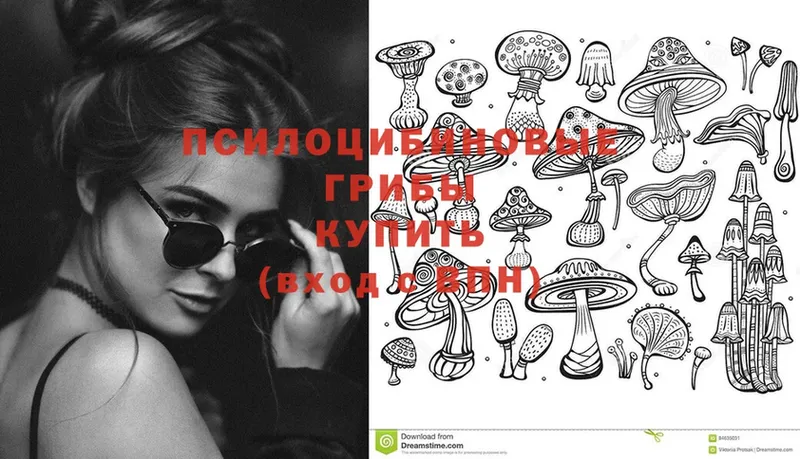 где купить наркоту  Корсаков  Псилоцибиновые грибы Cubensis 