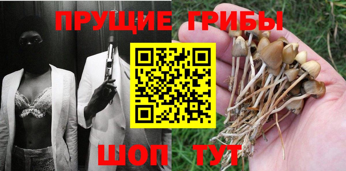 Галлюциногенные грибы Psilocybe Корсаков