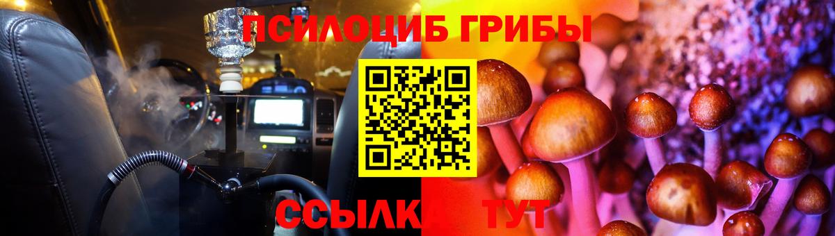 Псилоцибиновые грибы MAGIC MUSHROOMS Корсаков